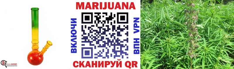 Как найти наркотики Заводоуковск СК  Бошки Шишки  COCAIN 
