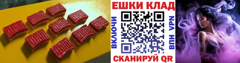 Ecstasy круглые  darknet наркотические препараты  гидра ONION  Заводоуковск  купить наркоту 