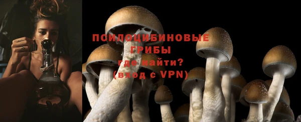 гидропоника Баксан