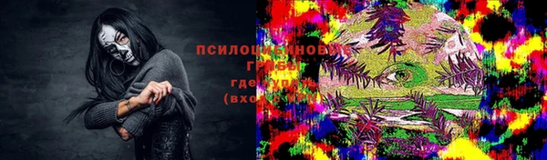 сатива Балахна