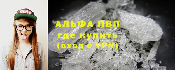 сатива Балахна