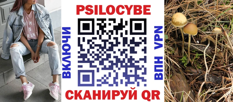 Псилоцибиновые грибы ЛСД  где найти наркотики  Заводоуковск 